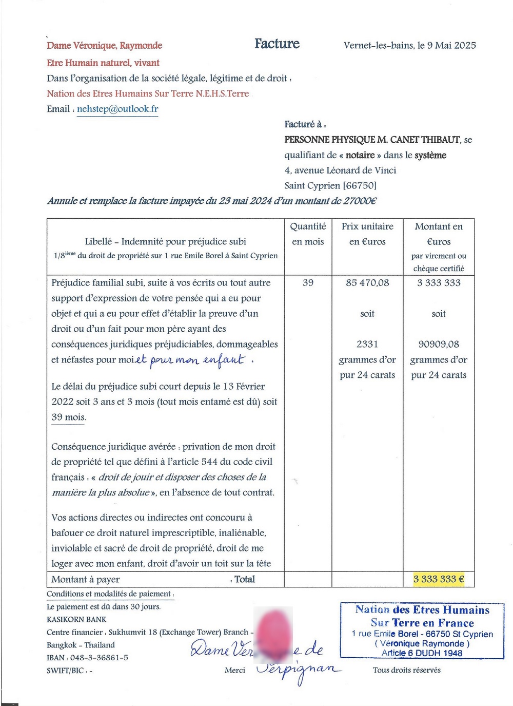 20250509 facture annule et remplace pour thibaut canet